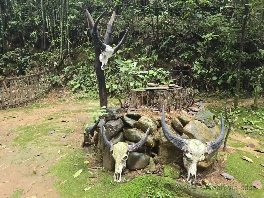 Points: Sacred trees and village poles