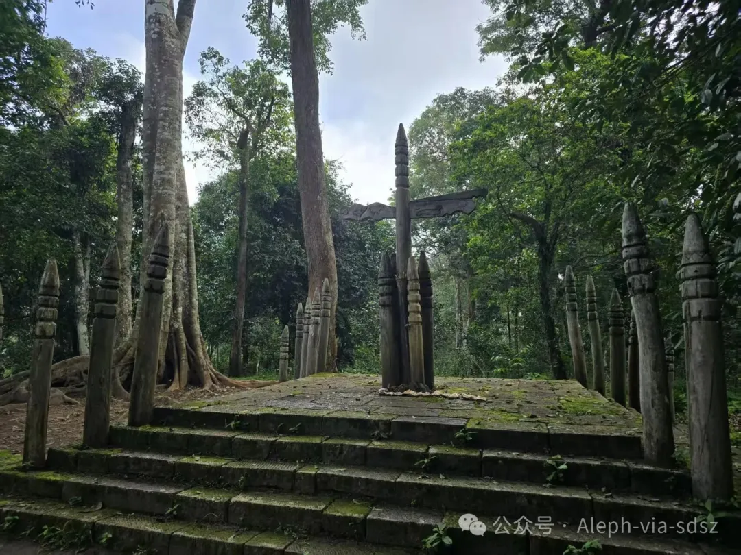 Ancestral Tea Tree at Mount Ailing